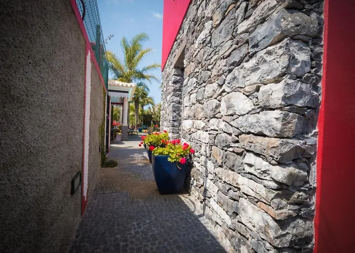 Quinta Da Tia Briosa By Homie