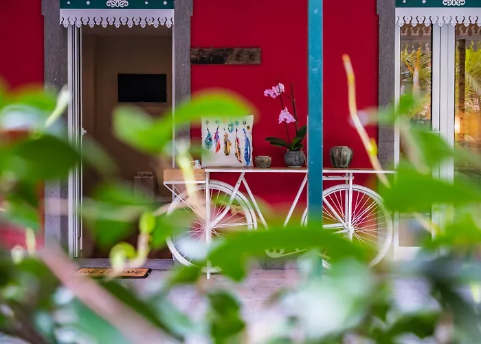 Quinta Da Tia Briosa By Homie