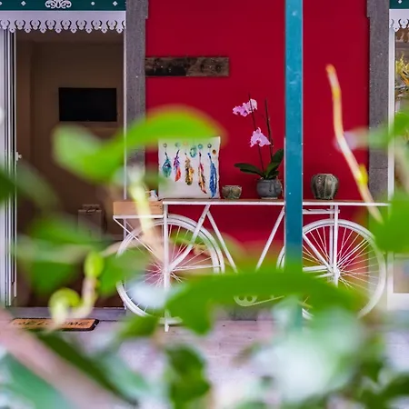 Quinta Da Tia Briosa By Homie