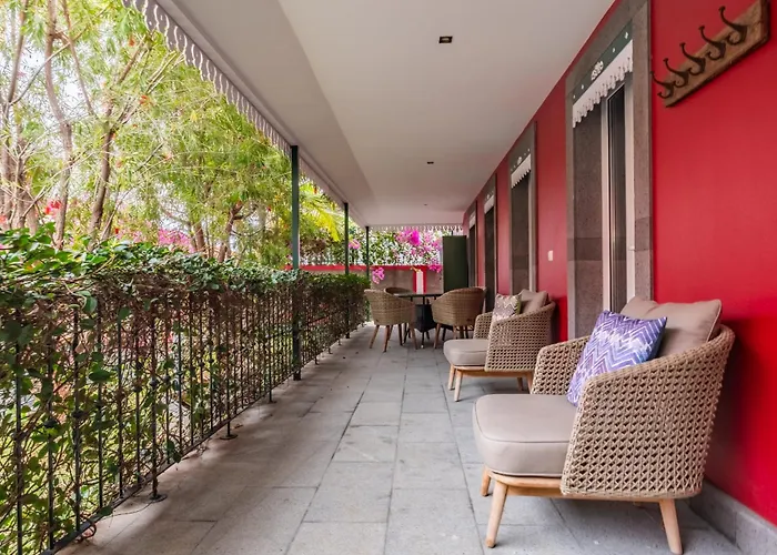 Quinta Da Tia Briosa By Homie Appartement *